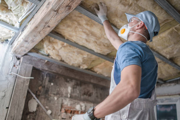 Types of Insulation We Offer in Larch Way, WA